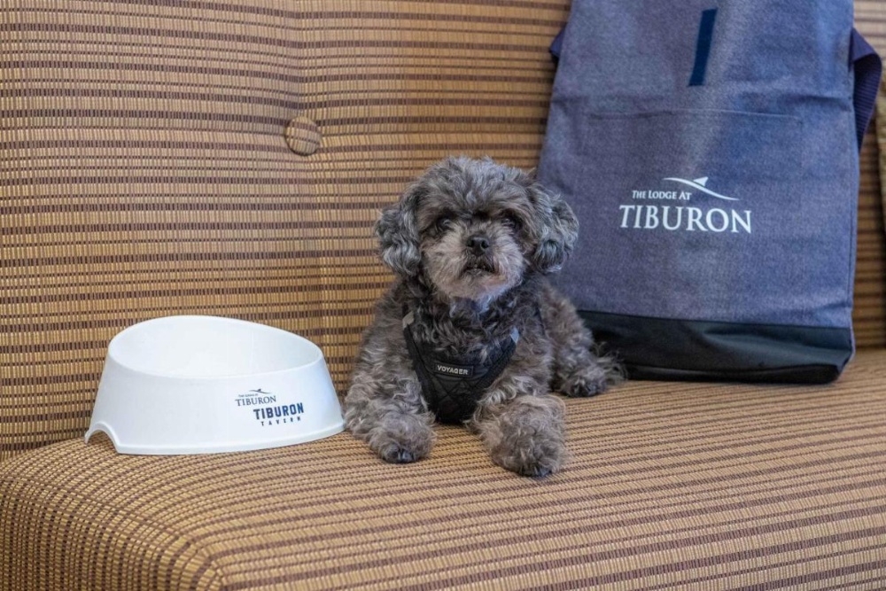 The Lodge At Tiburon